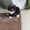 Photo of Samara N.