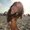 Photo of Annet P.