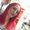 Photo of Janell S.
