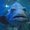 Photo of Poisson S.