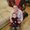 Photo of Qype User (ell8…)