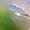 Photo of Bobby W.
