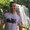Photo of Shane P.