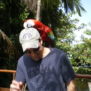 google avatar