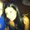 Photo of Samantha S.