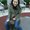 Photo of Laura X.