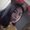 Photo of Jasmine M.