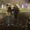 Photo of glitter_bomb