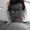 Photo of Dotti M.