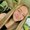 Photo of Mady H.