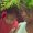 Photo of Charaya M.