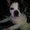 Photo of Joey H.