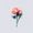 Photo of Labia Z.