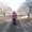 Photo of Madalynn M.