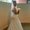 Photo of Tonja W.