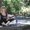 Photo of Reiki Earth Mother A.