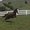 Photo of Hossmoor A.