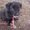 Photo of Cleo A.