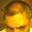 Photo of Rajiv R.