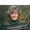 Photo of Donna M.