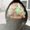 Photo of Angela B.