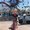 Photo of Madi G.