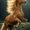Photo of Susan Sarandon S.