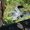 Photo of Qype User (rainer…)