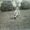 Photo of Shirley S.
