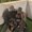 Photo of Dey R.