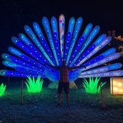 google avatar