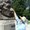 Photo of Cindy P.