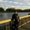 Photo of Anisha G.