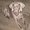 Photo of Mary Kay F.