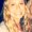 Photo of Katie G.