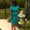Photo of Stephanie D.