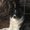 Photo of Cathe G.