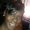 Photo of Renee H.