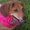 Photo of Tammie M.