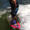Photo of Matt T.