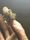 Photo of Kristy M.