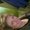 Photo of Muffy S.