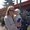 Photo of Lisa M.