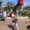 Photo of Jasminne M.