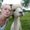 Photo of Cindi D.