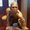 Photo of Ollivier G.