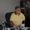 Photo of Chris P.