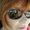 Photo of Lisa F.