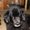 Photo of Janie H.