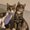 Photo of Yazlin G.